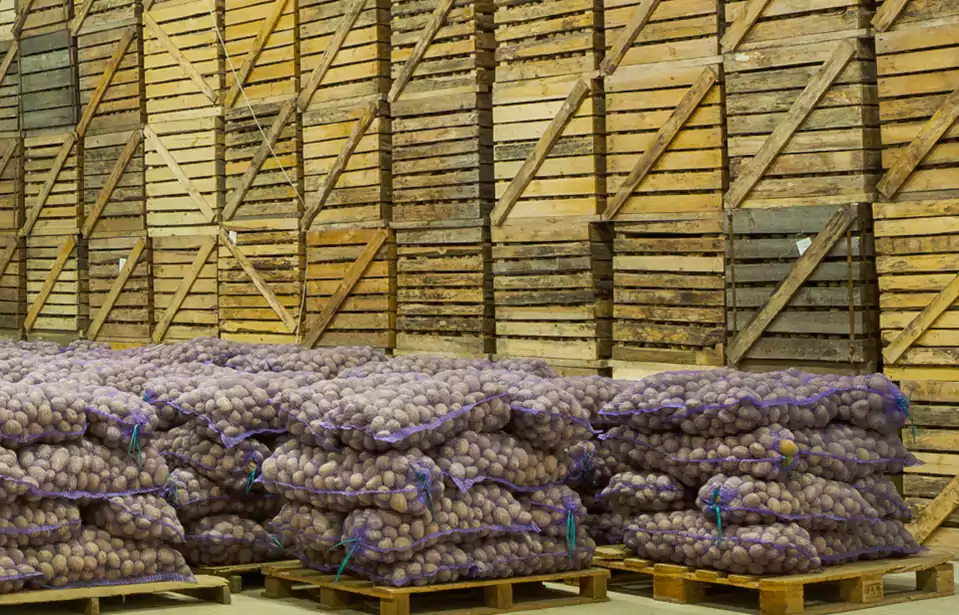 Perishable Cargo